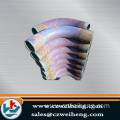 Cs 90 Degree Seamless Pipe Bends